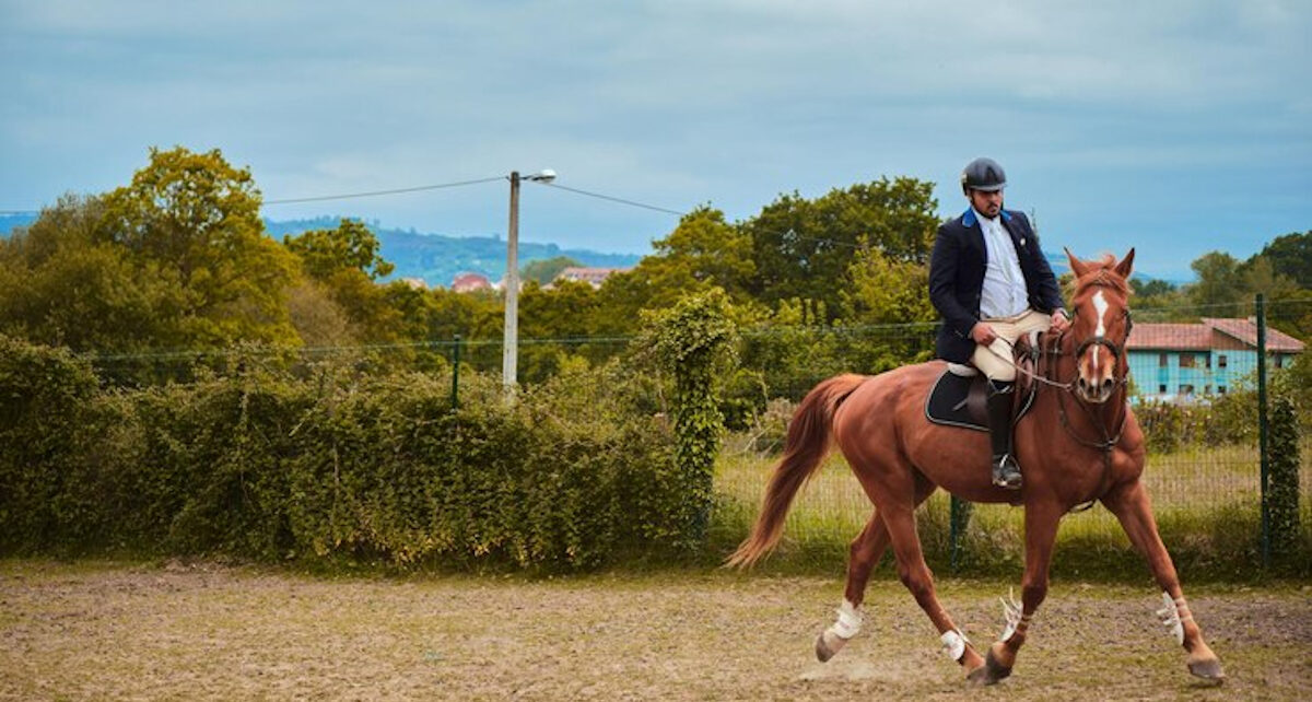 cavalier amateur